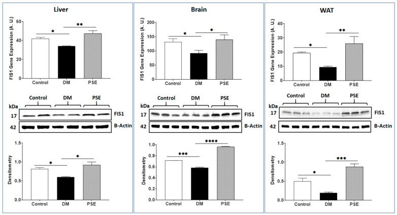 https://cdn.ncbi.nlm.nih.gov/pmc/blobs/0a46/11243022/bbf893c9c75f/nutrients-16-01977-g002.jpg