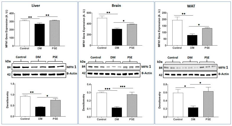 https://cdn.ncbi.nlm.nih.gov/pmc/blobs/0a46/11243022/bc08e9a9d8f1/nutrients-16-01977-g003.jpg