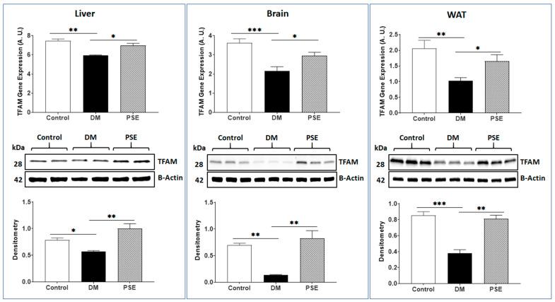 https://cdn.ncbi.nlm.nih.gov/pmc/blobs/0a46/11243022/caeb38f5bb71/nutrients-16-01977-g007.jpg