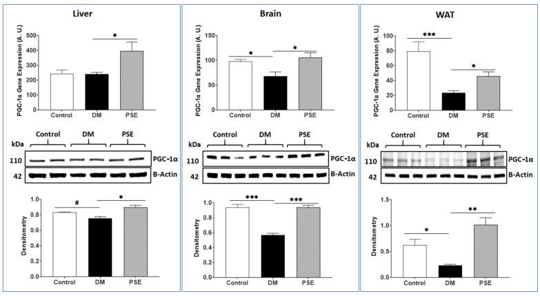 https://cdn.ncbi.nlm.nih.gov/pmc/blobs/0a46/11243022/f1ced4143d95/nutrients-16-01977-g006.jpg