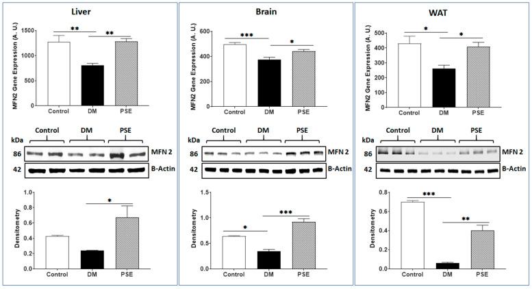https://cdn.ncbi.nlm.nih.gov/pmc/blobs/0a46/11243022/f3a719b948a0/nutrients-16-01977-g004.jpg