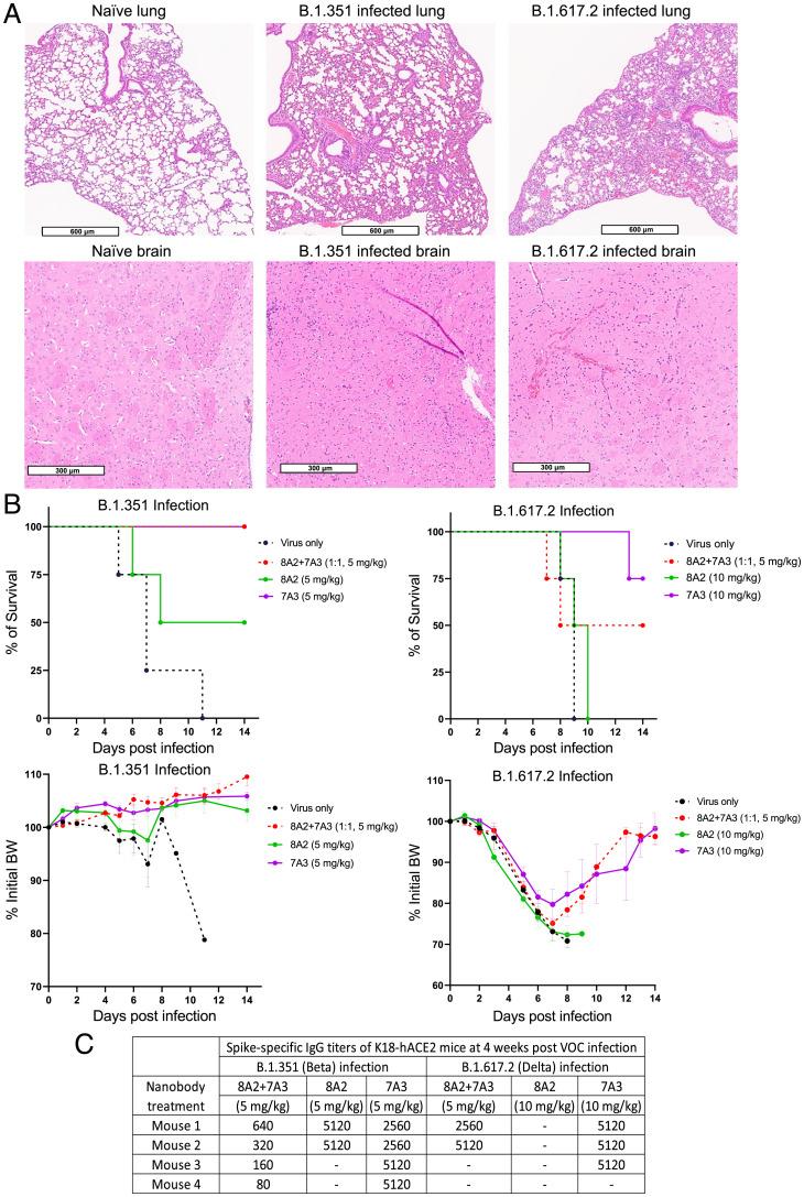 https://cdn.ncbi.nlm.nih.gov/pmc/blobs/0a47/9170159/02549b68a820/pnas.2201433119fig04.jpg