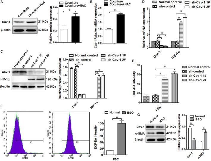 https://cdn.ncbi.nlm.nih.gov/pmc/blobs/0a48/7417714/4f51b948f544/JCMM-24-9397-g003.jpg