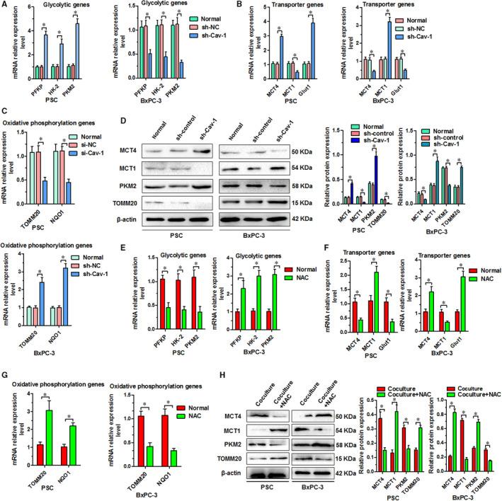 https://cdn.ncbi.nlm.nih.gov/pmc/blobs/0a48/7417714/ad9607b3cd5b/JCMM-24-9397-g004.jpg