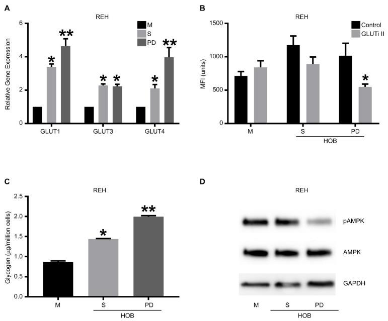 https://cdn.ncbi.nlm.nih.gov/pmc/blobs/0a4c/9179467/8ad647337dd7/cancers-14-02681-g002.jpg