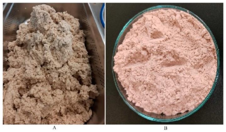 https://cdn.ncbi.nlm.nih.gov/pmc/blobs/0a4e/9100248/8e620fd32363/polymers-14-01738-g001.jpg