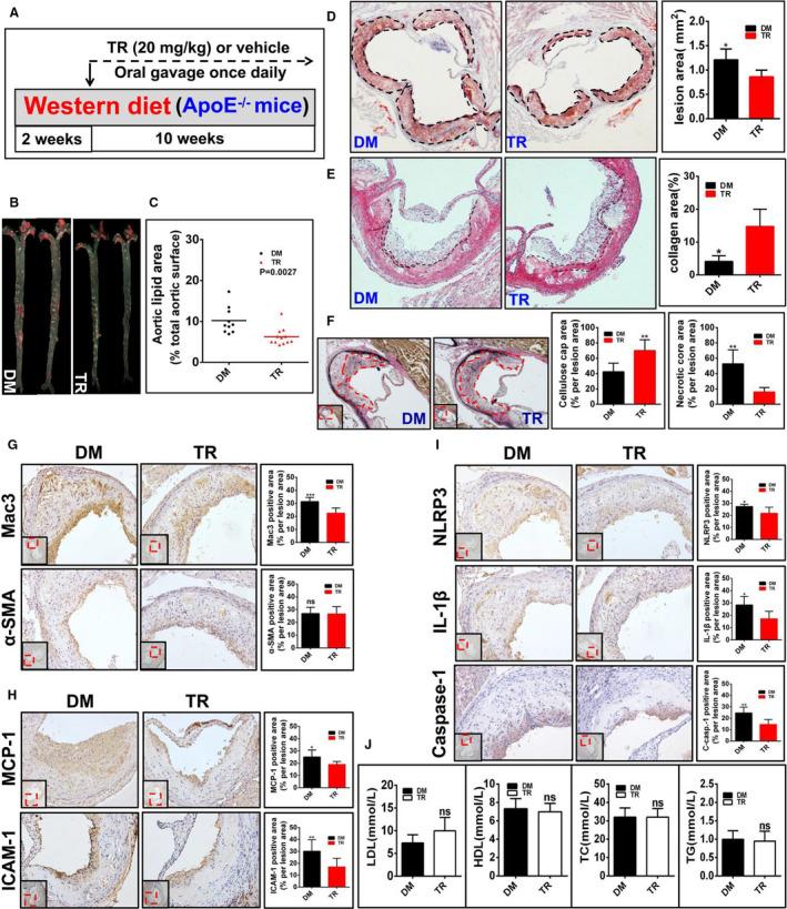 https://cdn.ncbi.nlm.nih.gov/pmc/blobs/0a50/7429049/5c457d8ffdb6/JAH3-9-e015513-g007.jpg