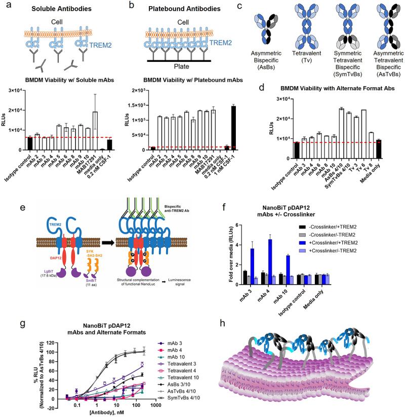 https://cdn.ncbi.nlm.nih.gov/pmc/blobs/0a55/12351705/f171ad2afc16/KMAB_A_2546554_F0001_OC.jpg