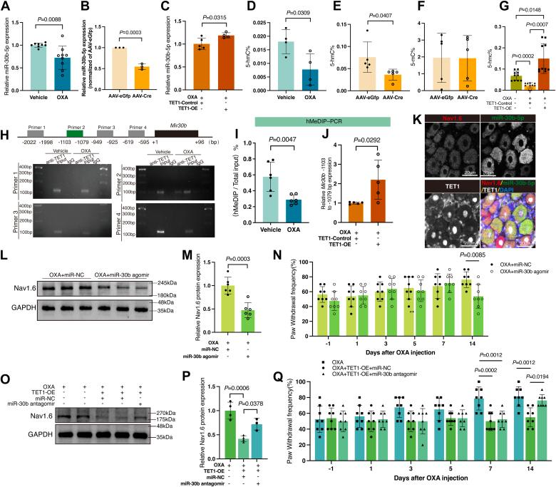 https://cdn.ncbi.nlm.nih.gov/pmc/blobs/0a56/11894311/09b6445d4f09/gr7.jpg