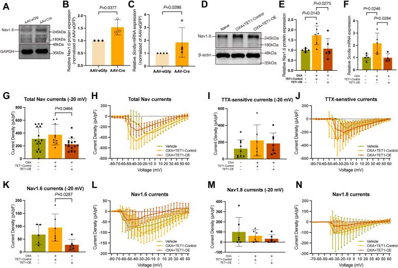 https://cdn.ncbi.nlm.nih.gov/pmc/blobs/0a56/11894311/3b353baff9b4/gr6.jpg