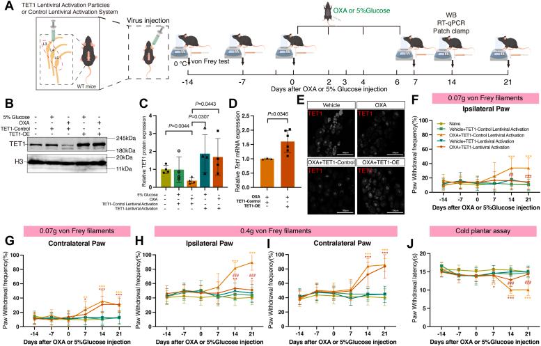 https://cdn.ncbi.nlm.nih.gov/pmc/blobs/0a56/11894311/4ef35031146a/gr3.jpg