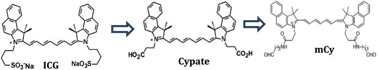 https://cdn.ncbi.nlm.nih.gov/pmc/blobs/0a56/4267155/09270e3995d9/12951_2014_56_Fig3_HTML.jpg