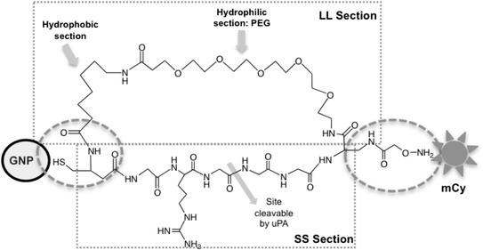 https://cdn.ncbi.nlm.nih.gov/pmc/blobs/0a56/4267155/cf6186746191/12951_2014_56_Fig8_HTML.jpg