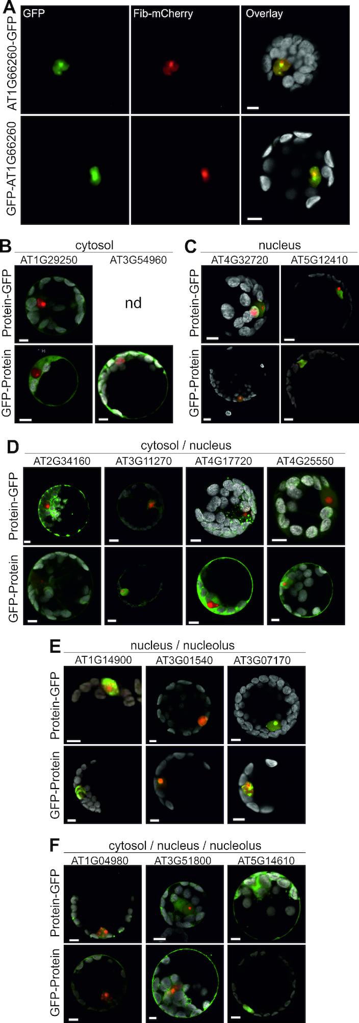 https://cdn.ncbi.nlm.nih.gov/pmc/blobs/0a57/6393314/724cbc7b4ed6/gky1261fig2.jpg