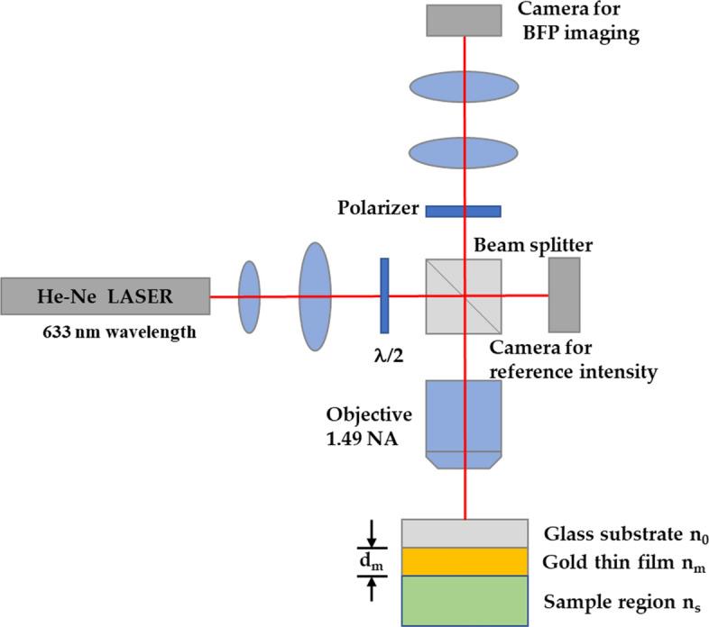 https://cdn.ncbi.nlm.nih.gov/pmc/blobs/0a58/8357982/adbc55c7c1a6/41598_2021_95593_Fig2_HTML.jpg