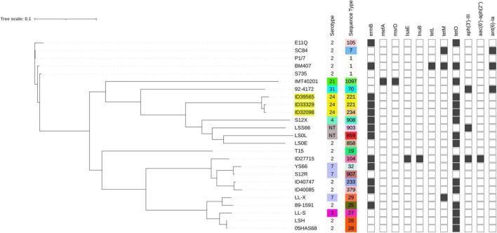 https://cdn.ncbi.nlm.nih.gov/pmc/blobs/0a58/8733411/953fb44dce83/fmicb-12-812436-g004.jpg