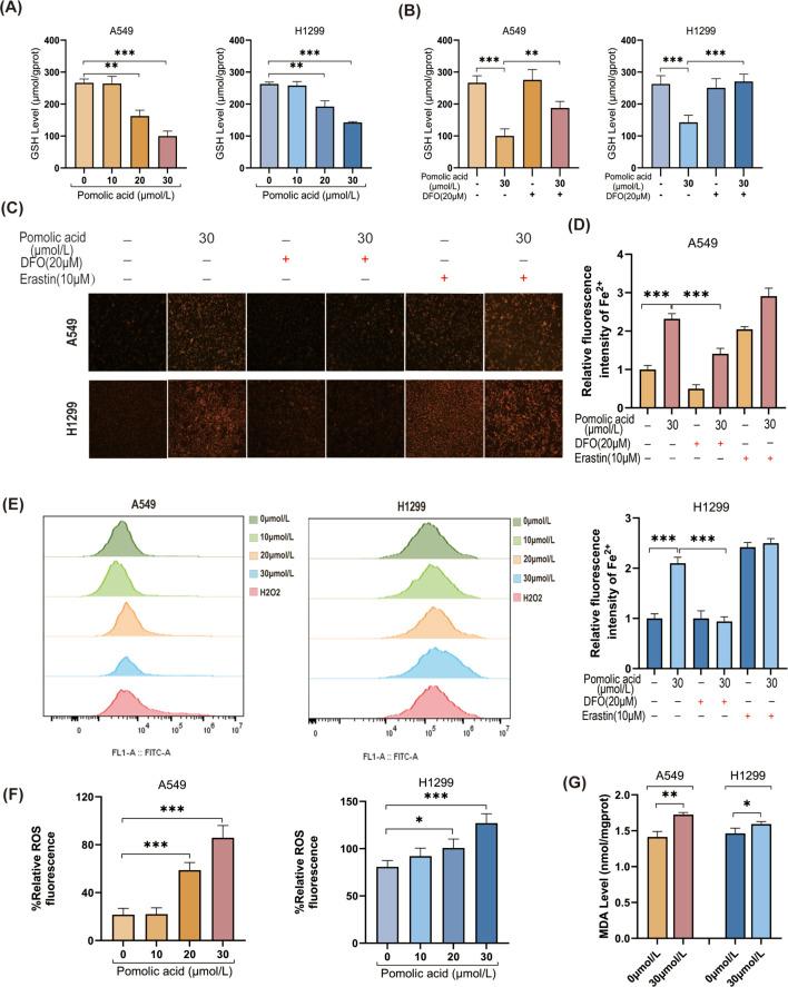 https://cdn.ncbi.nlm.nih.gov/pmc/blobs/0a59/12174985/687506f78776/fphar-16-1567942-g006.jpg