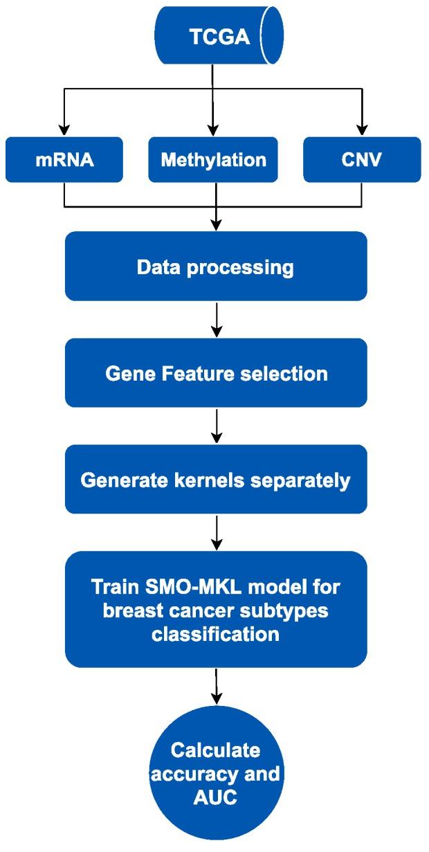 https://cdn.ncbi.nlm.nih.gov/pmc/blobs/0a5b/6471546/115560b8c096/genes-10-00200-g001.jpg