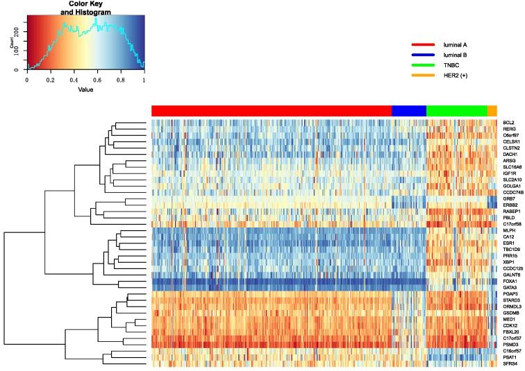 https://cdn.ncbi.nlm.nih.gov/pmc/blobs/0a5b/6471546/33da99021dfb/genes-10-00200-g007.jpg