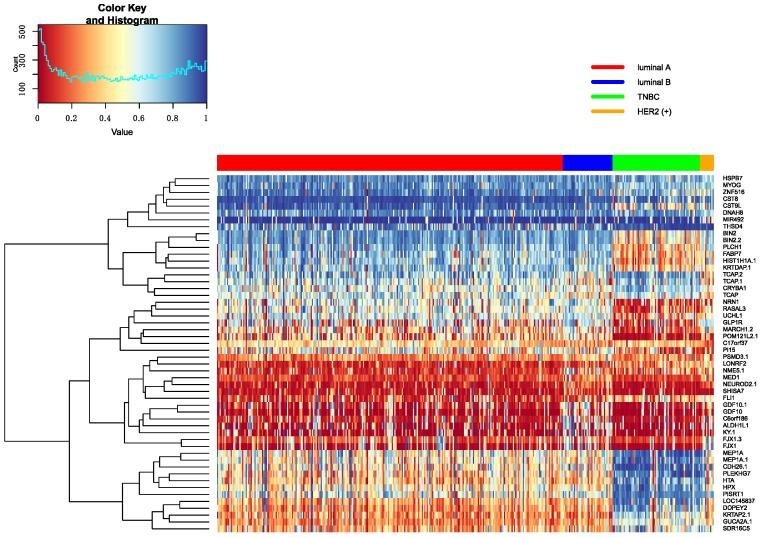 https://cdn.ncbi.nlm.nih.gov/pmc/blobs/0a5b/6471546/c81bbb7cbfcb/genes-10-00200-g008.jpg