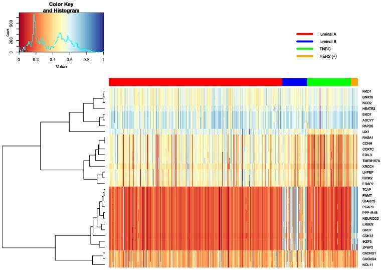 https://cdn.ncbi.nlm.nih.gov/pmc/blobs/0a5b/6471546/f786ed292216/genes-10-00200-g009.jpg