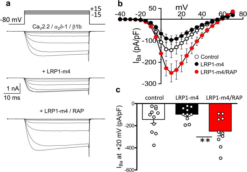 https://cdn.ncbi.nlm.nih.gov/pmc/blobs/0a5c/5335561/fecb72b8575a/srep43802-f8.jpg