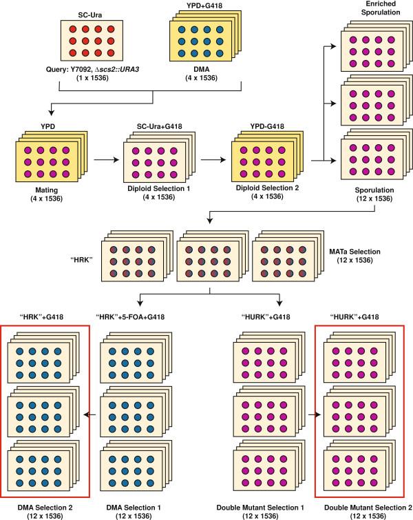 https://cdn.ncbi.nlm.nih.gov/pmc/blobs/0a5d/4234492/05eaec145815/1471-2105-14-354-5.jpg