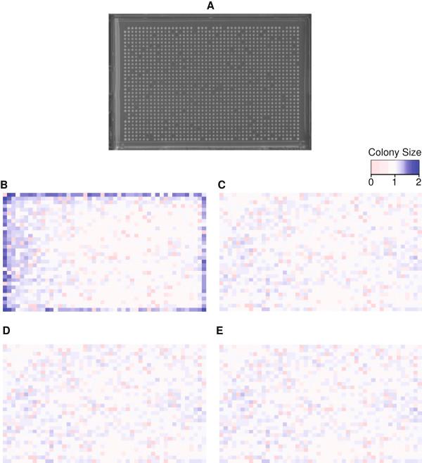 https://cdn.ncbi.nlm.nih.gov/pmc/blobs/0a5d/4234492/53cbae55bd6c/1471-2105-14-354-4.jpg