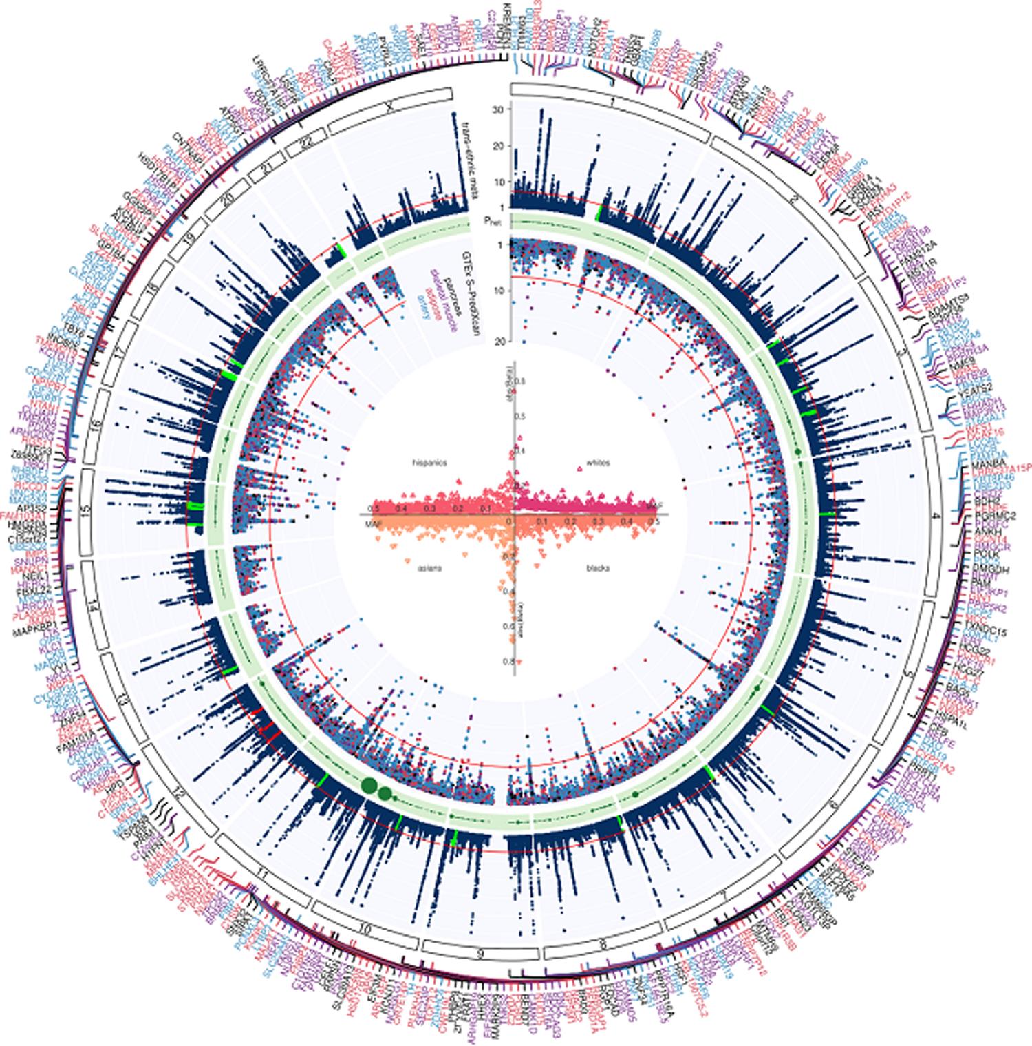 https://cdn.ncbi.nlm.nih.gov/pmc/blobs/0a62/7343592/5f0f93b9cfc7/nihms-1589535-f0001.jpg