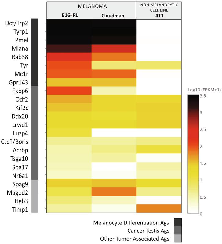 https://cdn.ncbi.nlm.nih.gov/pmc/blobs/0a67/7713901/95438dbc4ca0/nihms-1648335-f0005.jpg