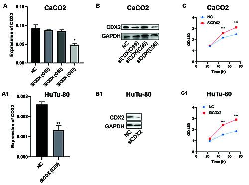 https://cdn.ncbi.nlm.nih.gov/pmc/blobs/0a68/12067183/684c75e02854/ejh-69-2-4203-g002.jpg