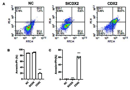 https://cdn.ncbi.nlm.nih.gov/pmc/blobs/0a68/12067183/c42b964267c7/ejh-69-2-4203-g006.jpg