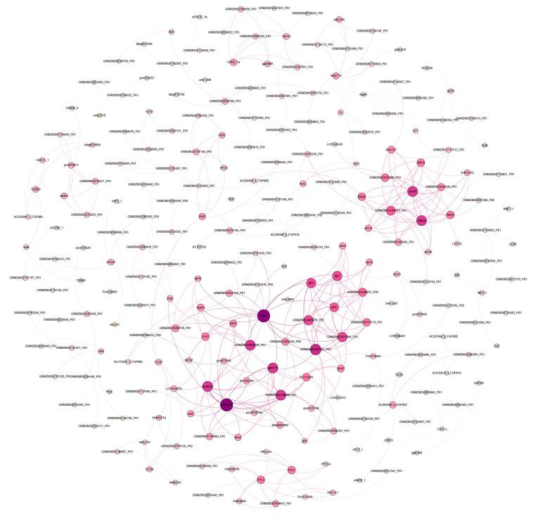 https://cdn.ncbi.nlm.nih.gov/pmc/blobs/0a69/10857558/44ab6530da10/plants-13-00405-g005.jpg