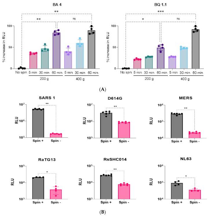 https://cdn.ncbi.nlm.nih.gov/pmc/blobs/0a6c/11437443/0eb7c5b74741/viruses-16-01492-g005.jpg