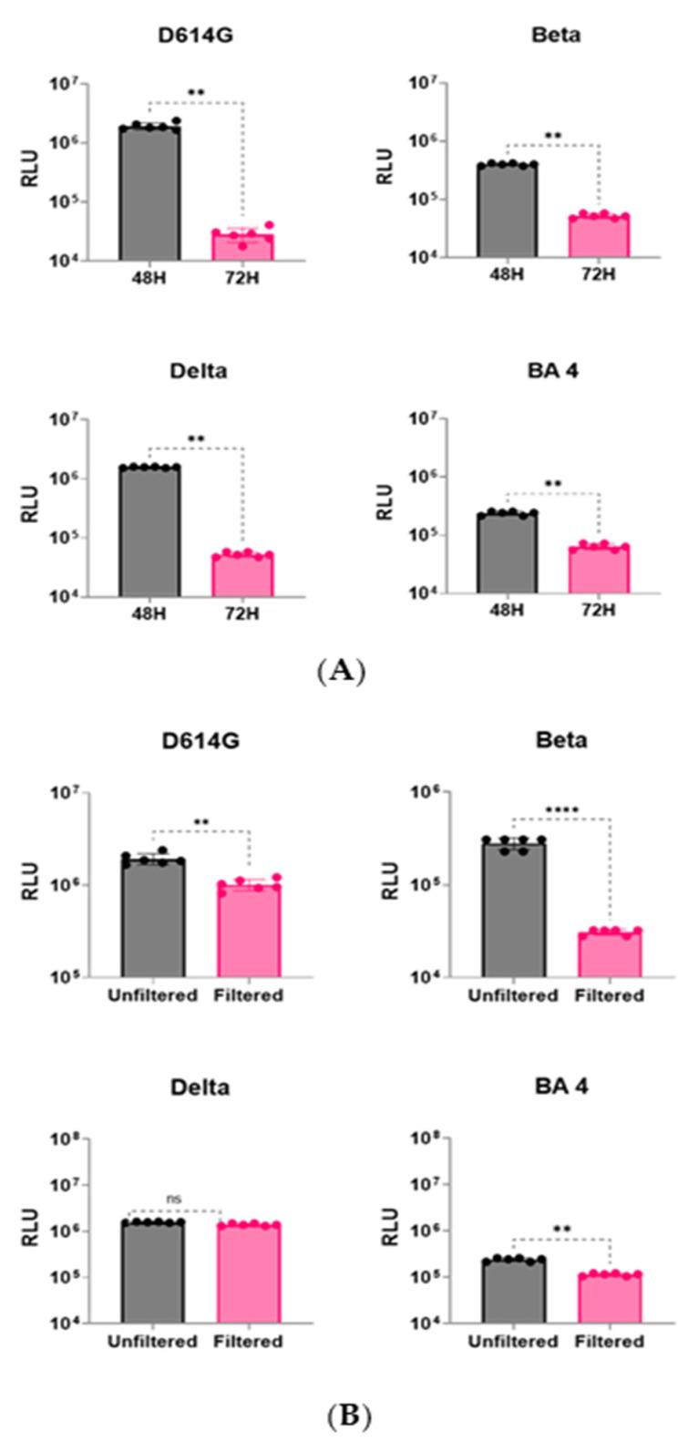 https://cdn.ncbi.nlm.nih.gov/pmc/blobs/0a6c/11437443/7c35d91769fc/viruses-16-01492-g002.jpg