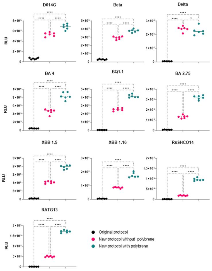 https://cdn.ncbi.nlm.nih.gov/pmc/blobs/0a6c/11437443/c5fc734d5ae1/viruses-16-01492-g007.jpg