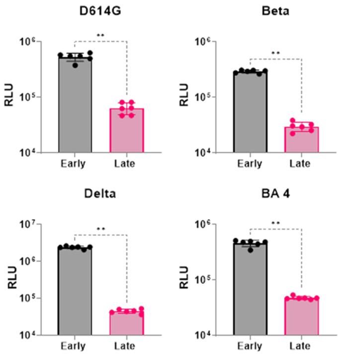 https://cdn.ncbi.nlm.nih.gov/pmc/blobs/0a6c/11437443/d155ce5e528a/viruses-16-01492-g003.jpg