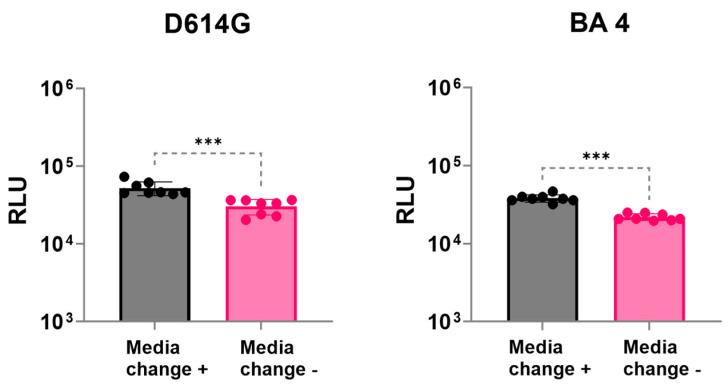 https://cdn.ncbi.nlm.nih.gov/pmc/blobs/0a6c/11437443/fe3cbac3f238/viruses-16-01492-g004.jpg