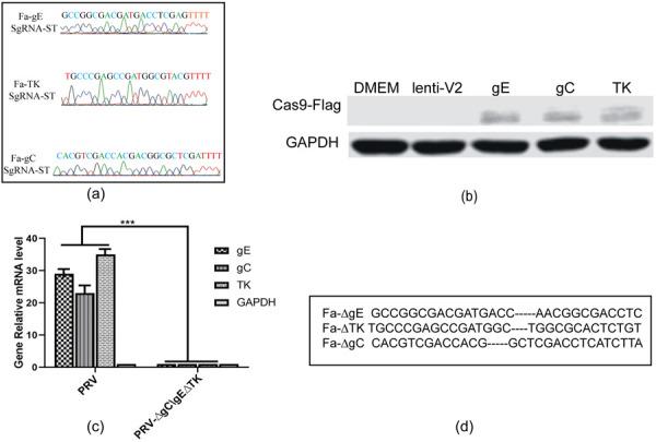 https://cdn.ncbi.nlm.nih.gov/pmc/blobs/0a6d/7324833/bf700c9a4d20/jvms-82-846-g001.jpg