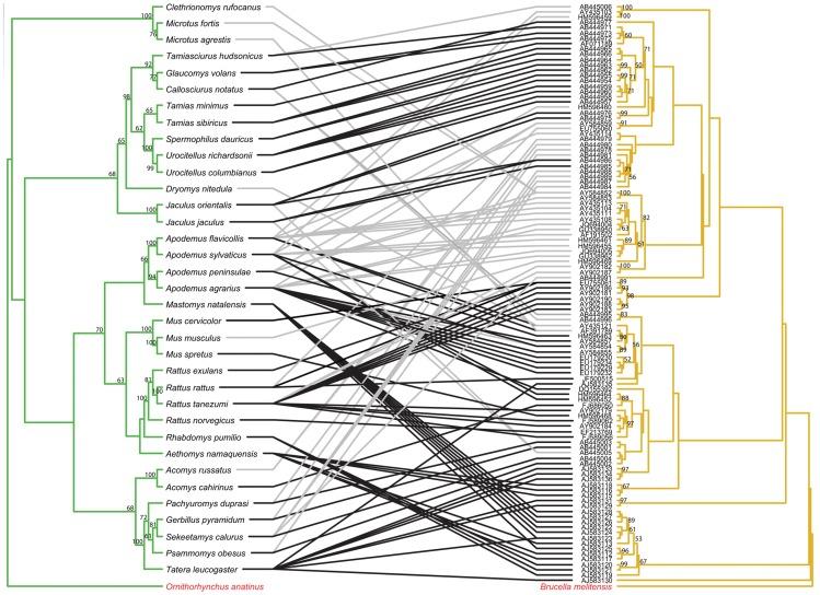 https://cdn.ncbi.nlm.nih.gov/pmc/blobs/0a70/3961187/bd17a4f91726/pntd.0002738.g004.jpg