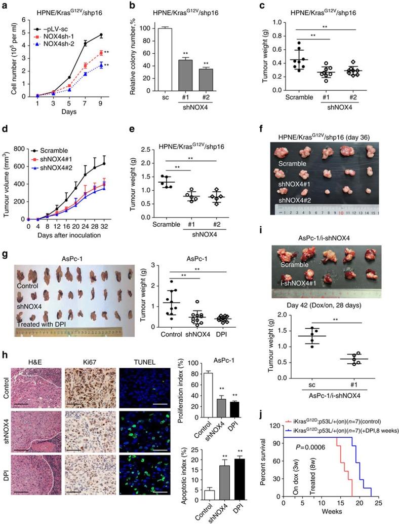 https://cdn.ncbi.nlm.nih.gov/pmc/blobs/0a72/5333128/1a9e08ab3d5d/ncomms14437-f6.jpg