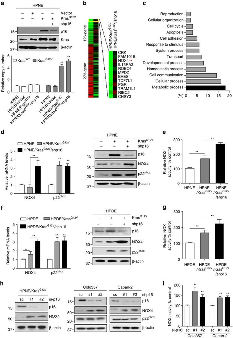 https://cdn.ncbi.nlm.nih.gov/pmc/blobs/0a72/5333128/4dd6ea031b21/ncomms14437-f1.jpg