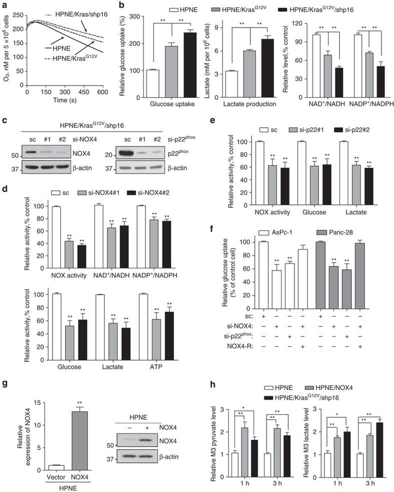 https://cdn.ncbi.nlm.nih.gov/pmc/blobs/0a72/5333128/f88e9aedd7b8/ncomms14437-f3.jpg