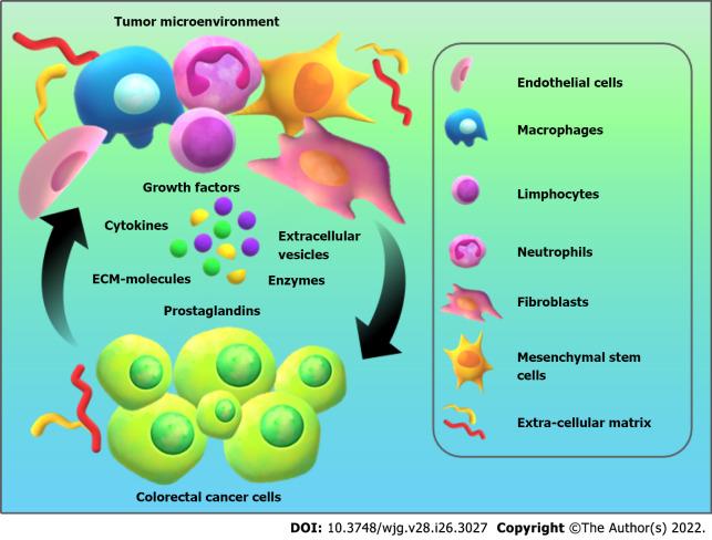 https://cdn.ncbi.nlm.nih.gov/pmc/blobs/0a72/9331520/5c33bb4cb57b/WJG-28-3027-g002.jpg