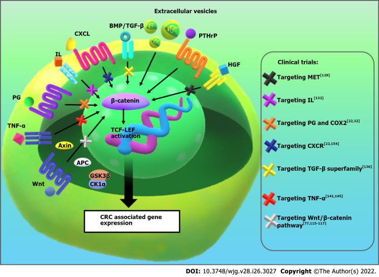 https://cdn.ncbi.nlm.nih.gov/pmc/blobs/0a72/9331520/f6cae2ebb6a3/WJG-28-3027-g004.jpg