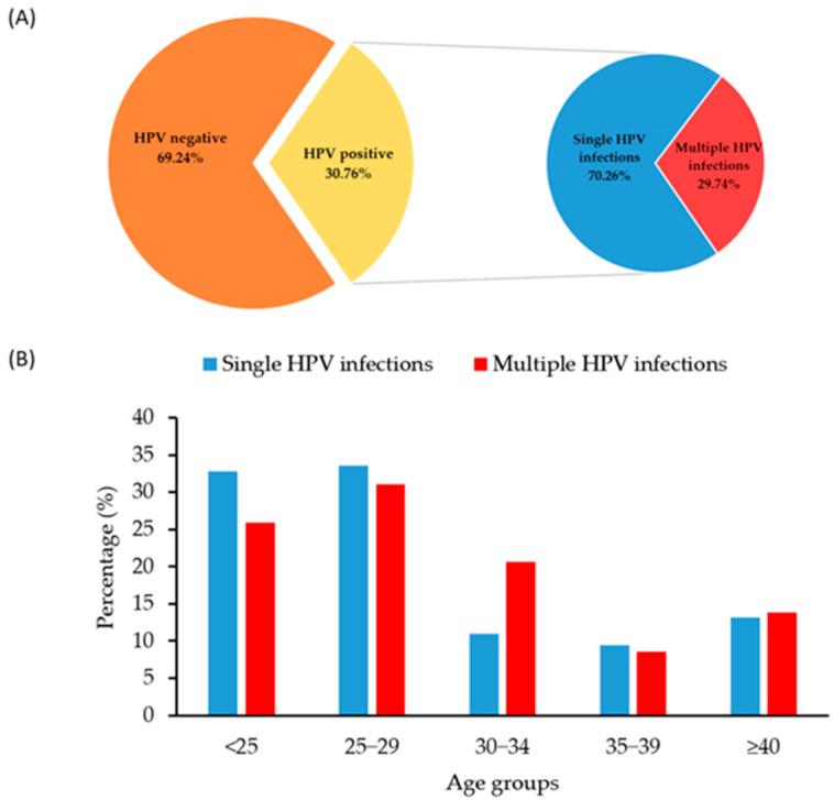 https://cdn.ncbi.nlm.nih.gov/pmc/blobs/0a73/12195706/2b1e6c7383e3/pathogens-14-00558-g002.jpg