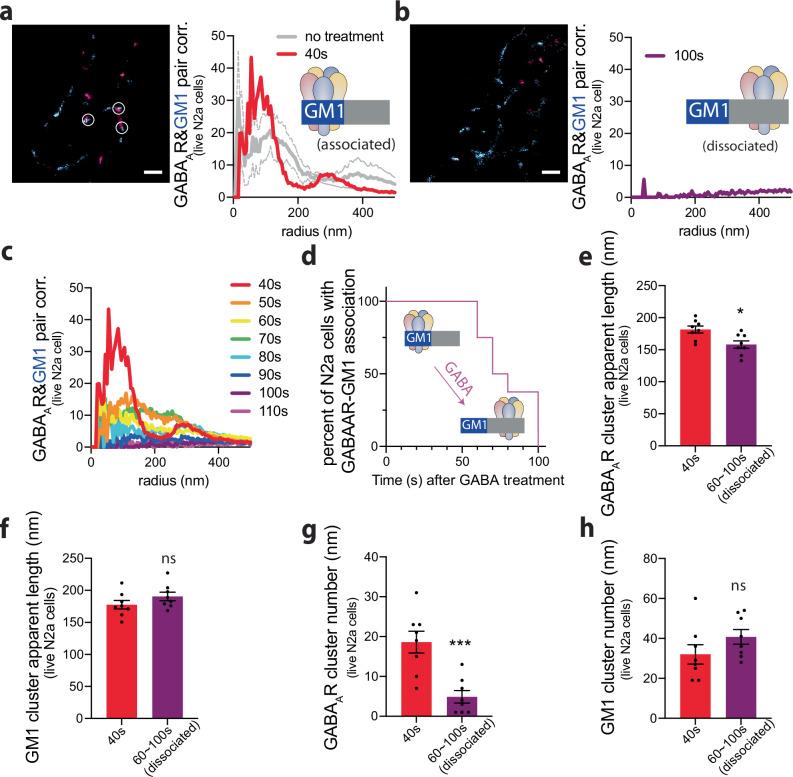 https://cdn.ncbi.nlm.nih.gov/pmc/blobs/0a74/12015214/d0f3870aed7c/42003_2025_8026_Fig3_HTML.jpg