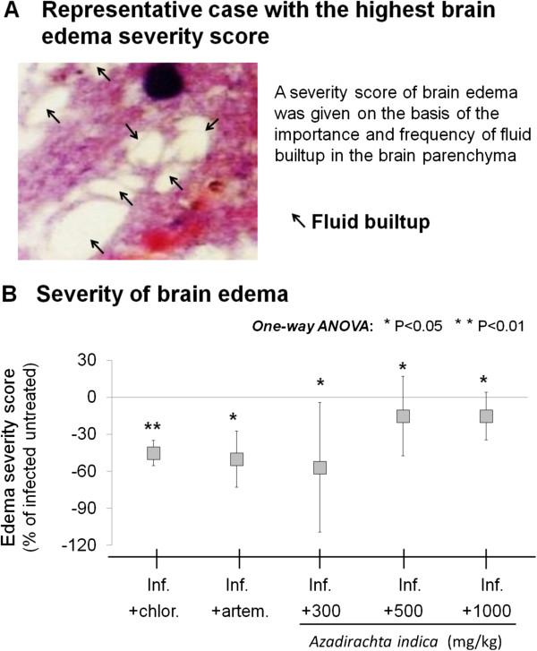 https://cdn.ncbi.nlm.nih.gov/pmc/blobs/0a75/3844317/a6d515607995/1475-2875-12-298-6.jpg