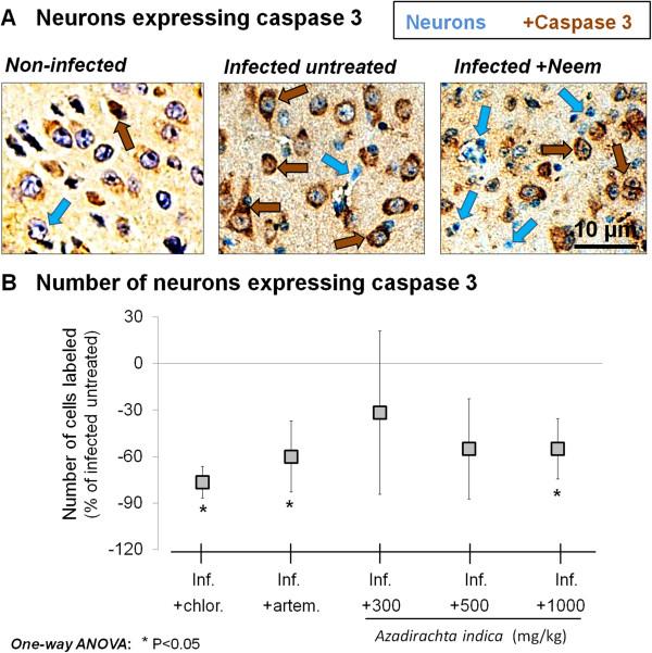 https://cdn.ncbi.nlm.nih.gov/pmc/blobs/0a75/3844317/bdbcfa50cb88/1475-2875-12-298-2.jpg