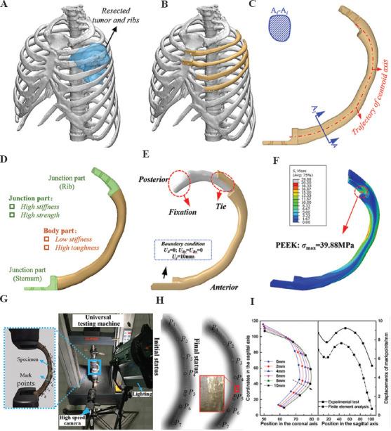 https://cdn.ncbi.nlm.nih.gov/pmc/blobs/0a75/9668577/5be3e2e1de96/IJB-8-4-615-g002.jpg